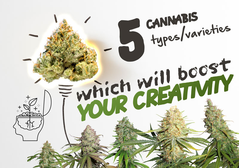 5 varieties of cannabis to boost your creativity