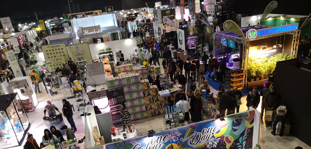 Bolonga expo