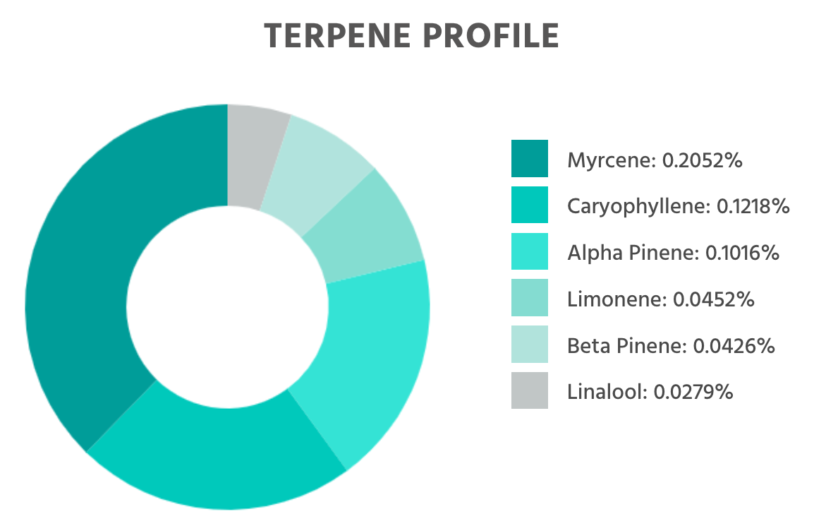 Terpene Profile Auto Cinderella Jack