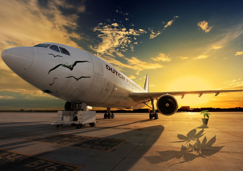 DutchPassion airplane flies cannabis seeds through Europe