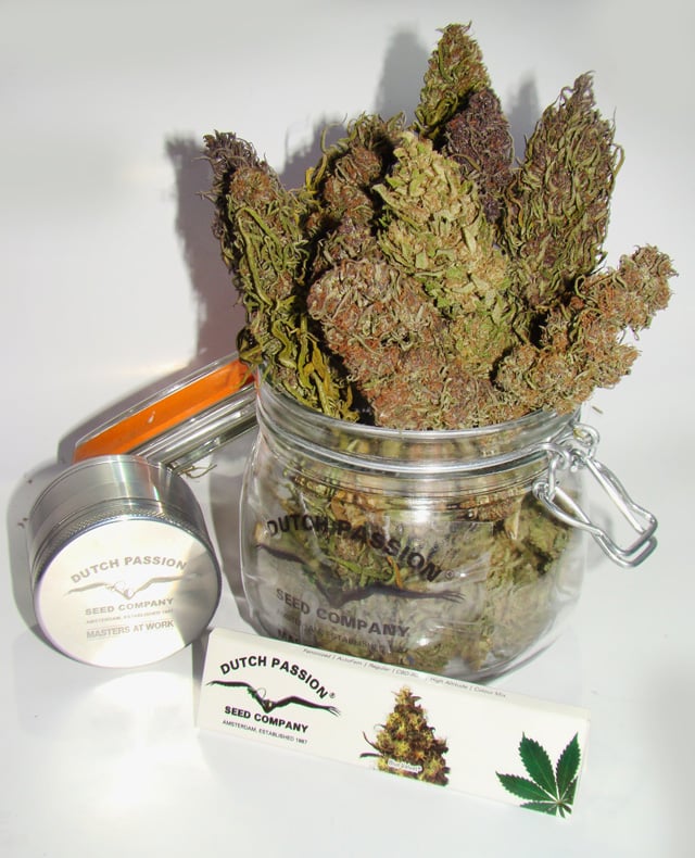 beautifully dried dutch passion buds in a jar