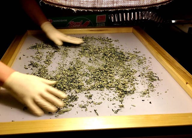 How to make hash by dry sifting with a silk screen